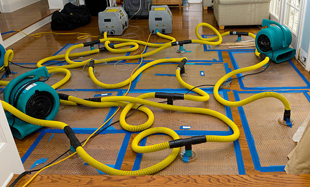 Professional Structural Drying And Dehumidification technician working in Port Reading, NJ